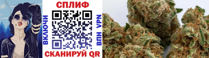 hydra ССЫЛКА  наркошоп  Ермолино  Шишки марихуана ГИДРОПОН 